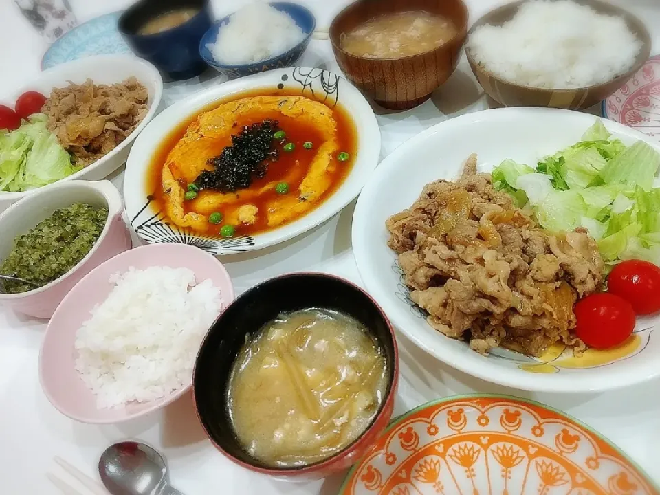 夕食(*^^*)
豚肉しょうが焼き&サラダ
あんかけかに玉
ぶりカマ煮
山形のだしきゅうり
お味噌汁(挽肉、油揚げ、春雨、)|プリン☆さん