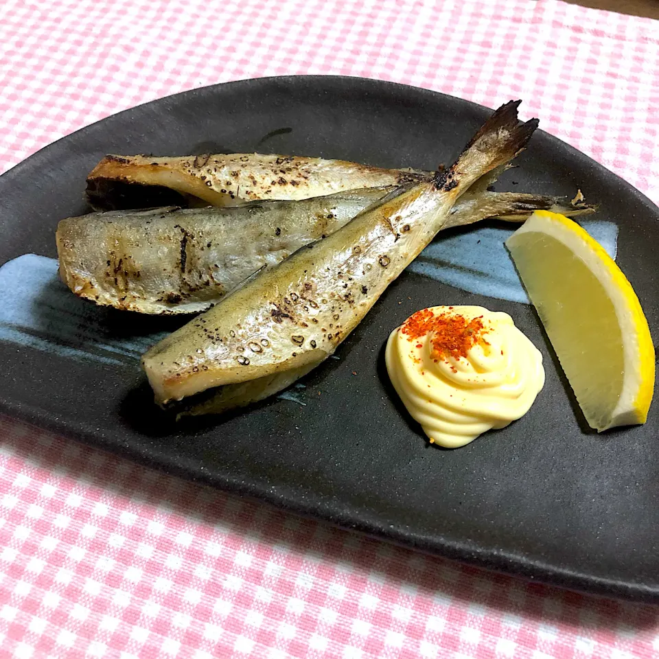 🐯娘の夜食🤭氷下魚の一夜干し🐟|🐯あんこたま🐯さん