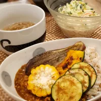 夏野菜カレー|わかぬごはんさん