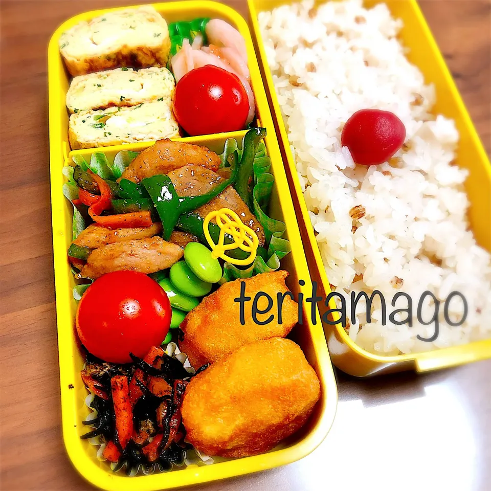 お弁当|teritamagoさん