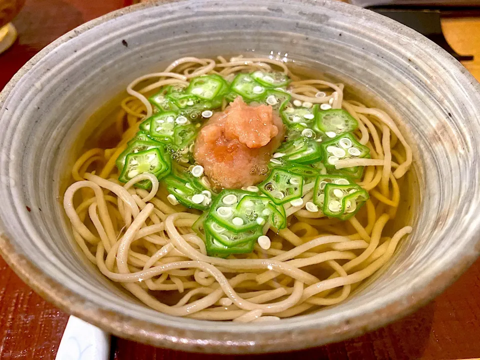 今年最後の梅おろし蕎麦🍜|にゃあ（芸名）さん