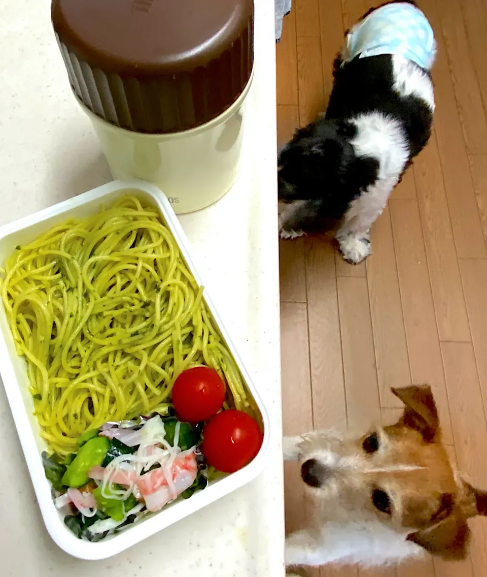 バジルパスタと牛タンシチュー弁当|cafe3733さん