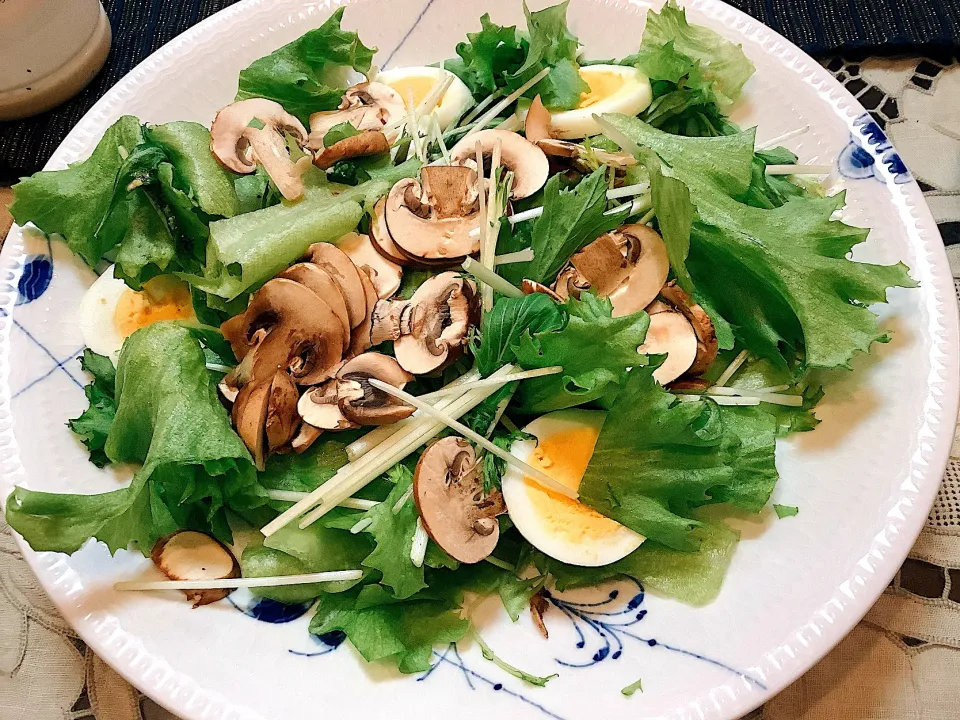 今日もいつもより70g多く野菜を食べる😋|アライさんさん