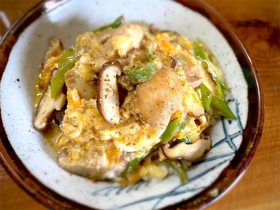 関西風親子丼|名状しがたいゴミムシのようなものさん