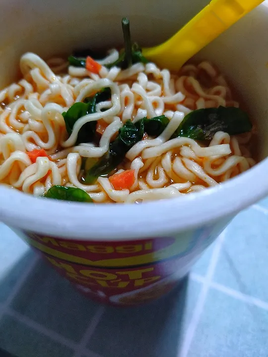 Noodle Hot Cup on Rainy Day|Harlina  (Malaysia)さん