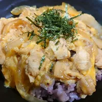 Snapdishの料理写真:親子丼|さださん