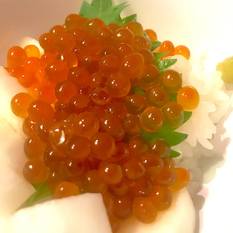 漬イクラ（腹子）でイクラ丼|almostblackさん
