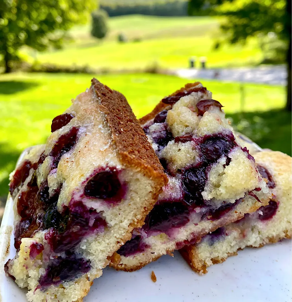 Blueberry and cherry topped almond cake.|Dean M Rogersさん