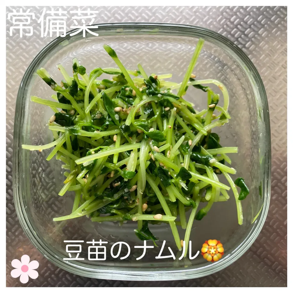 豆苗ナムル🏵|いのっちさん