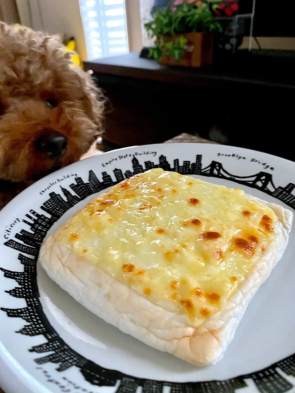 はんぺんチーズ焼き😋高たんぱく低カロリー🙌|ゆかりさん