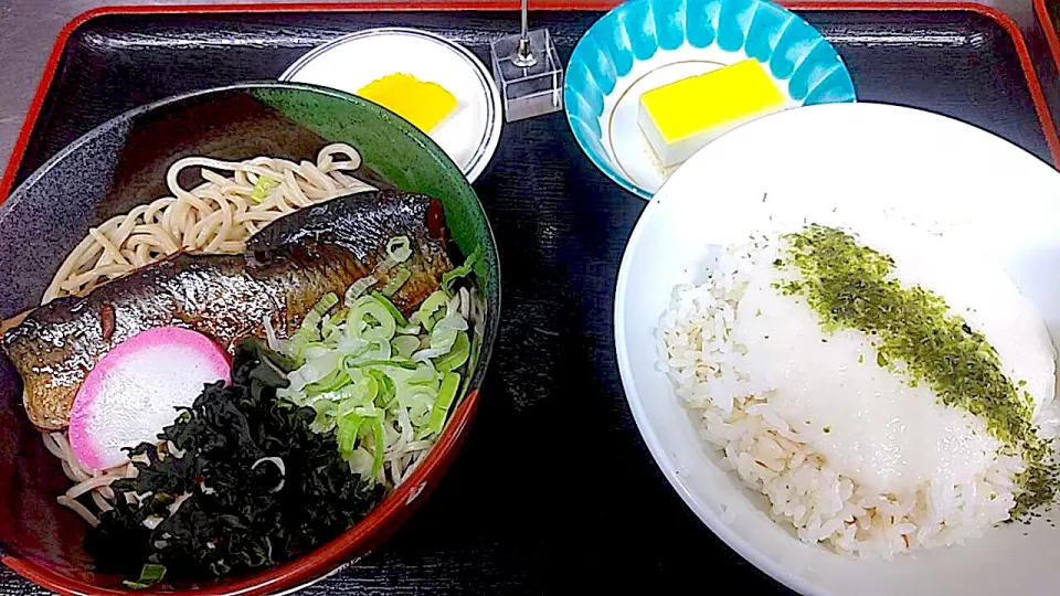 にしんそば・山かけ丼定食|nyama1さん