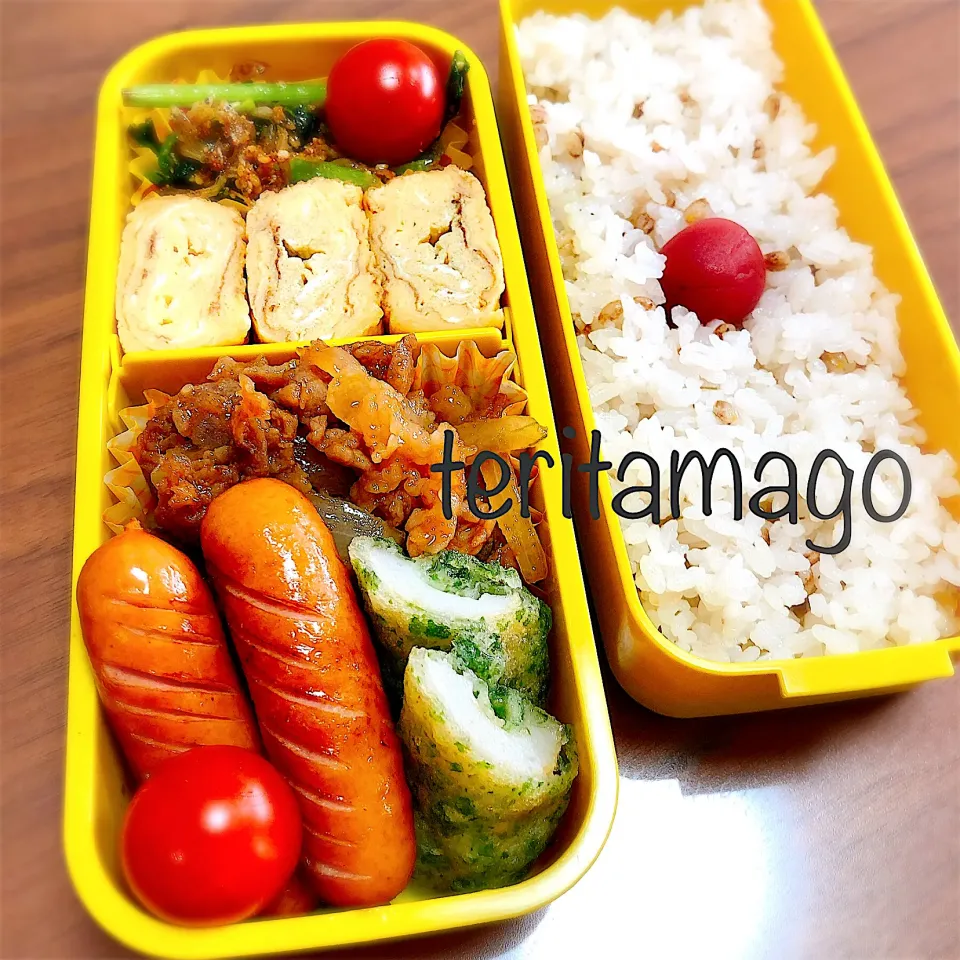 お弁当|teritamagoさん