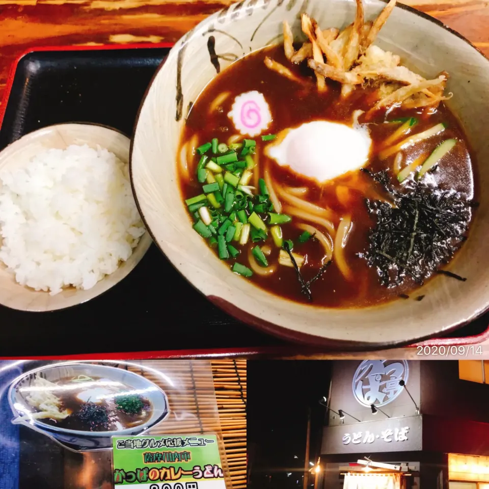 かっぱ亭『かっぱのカレーうどん』|コージ💫さん