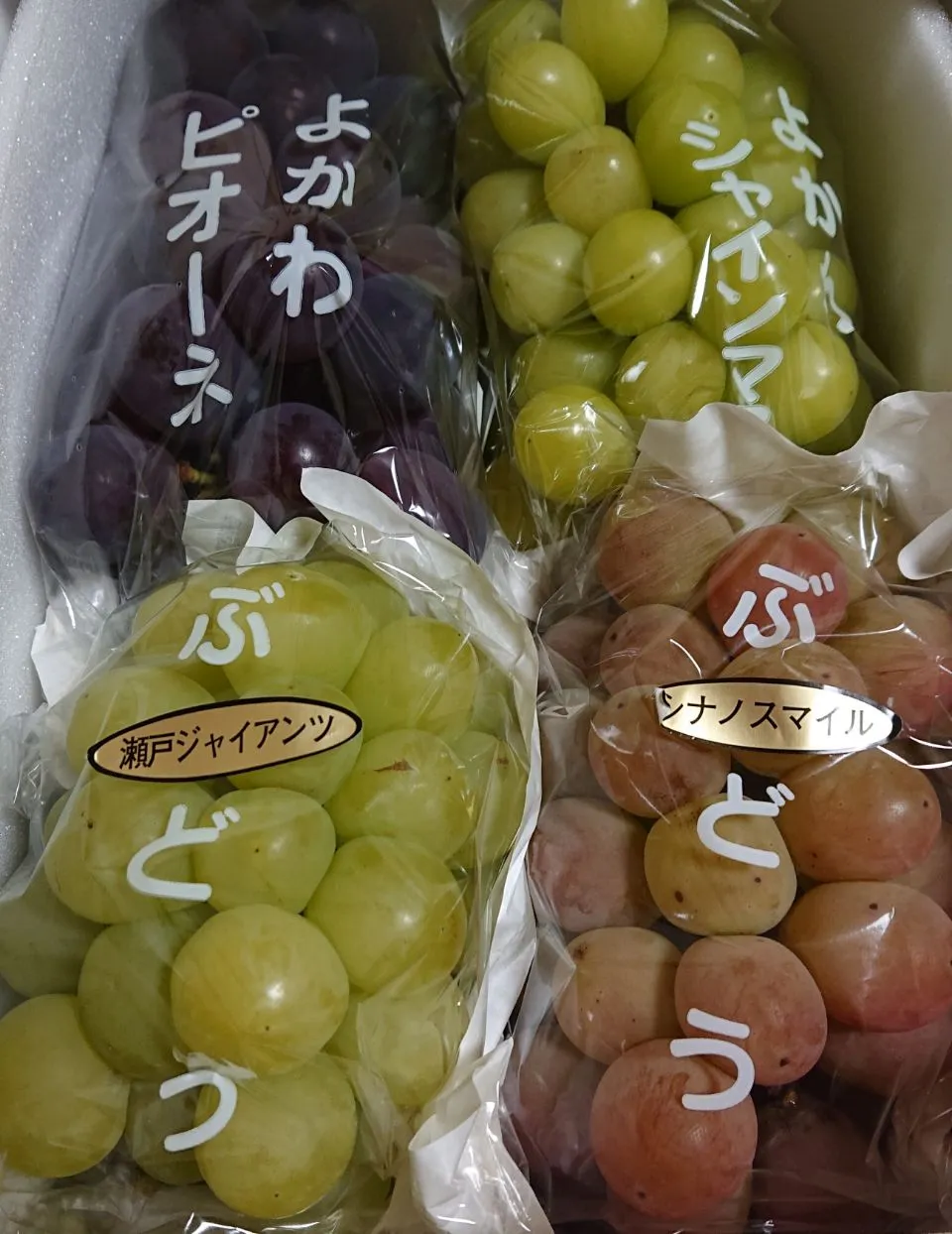 いただきましたぁ🎵ブドウ〰️🍇|ちかっちさん