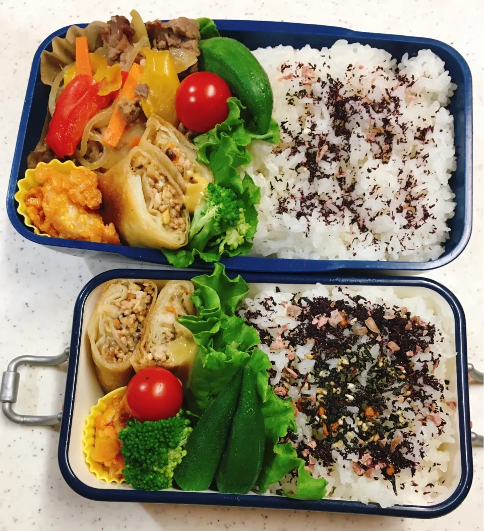 今日のお仕事＆学校弁当♪2020.9.15|ぐぅさん