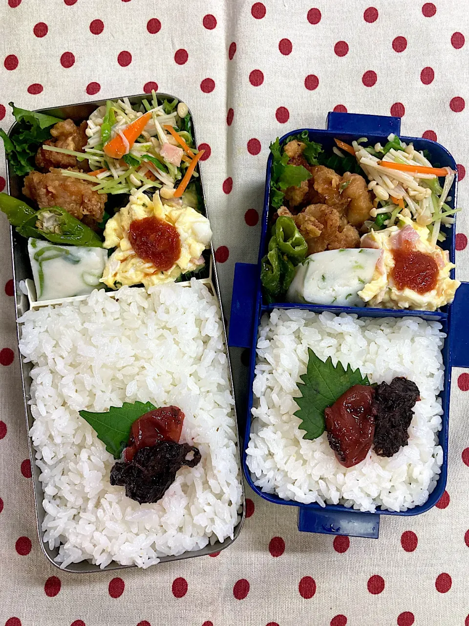 Snapdishの料理写真:9月15日 今日も秋晴れ弁当🍱|sakuramochiさん