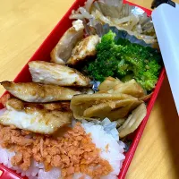 Snapdishの料理写真:鶏胸肉の塩麹焼き　レンコンとツナの炒め　もやしナムル　ブロッコリー🥦 弁当|Kumiko Kimuraさん