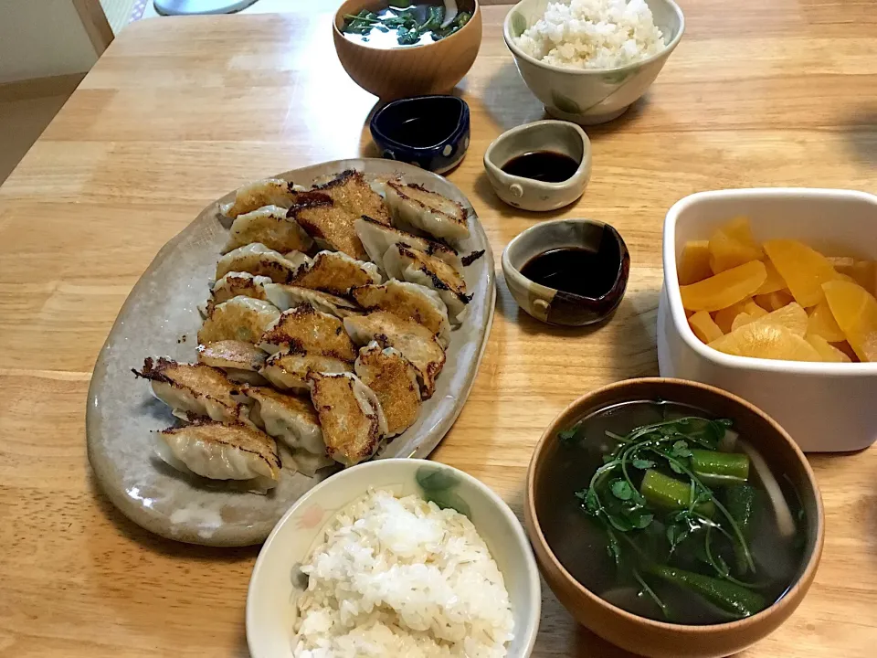 Snapdishの料理写真:しそ餃子🥟|さくたえさん