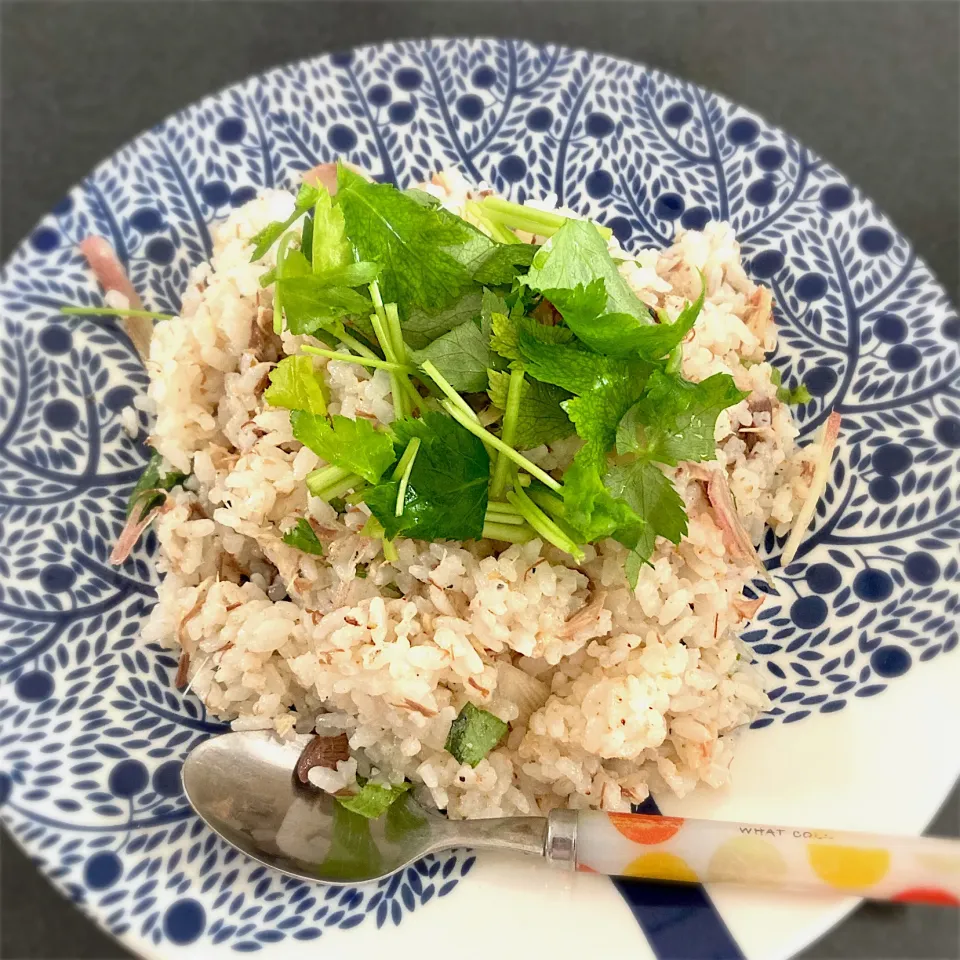 サバ缶の酢飯風ごはん|めーさん