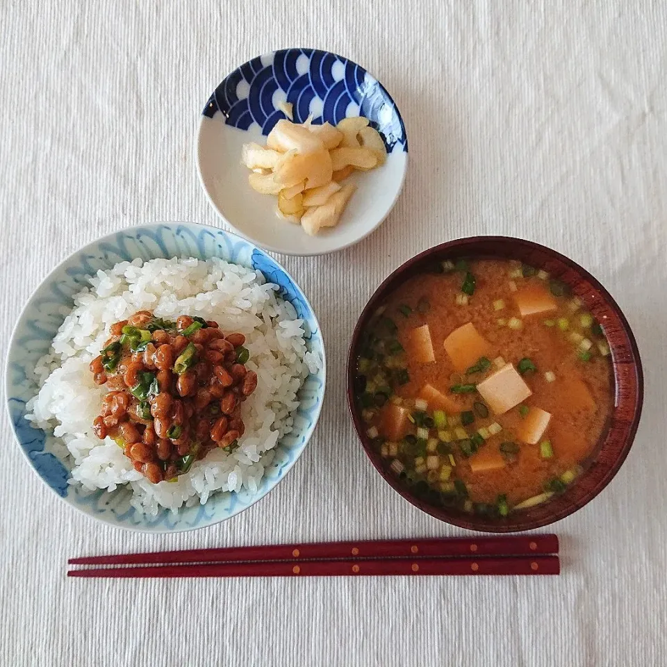 納豆ごはん
豆腐の味噌汁
セロリの浅漬け|oneiさん