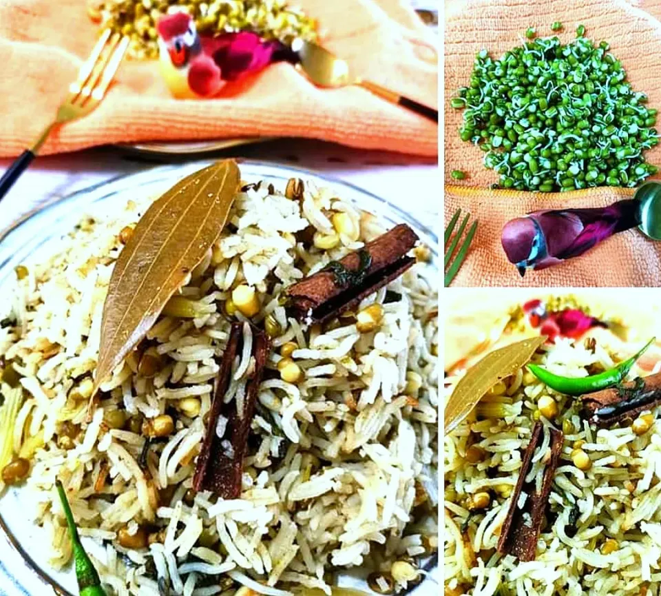 Yummy Sprouts Pulao using home grown sprouts🌾 simply love all the aromatics of Indian spices.. cinnamon, cardamom, cumin, cloves, green chili yum😋🌱🌱🌱|Fatmamaさん