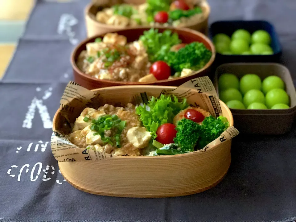 Snapdishの料理写真:麻婆豆腐弁当|NOWAさん