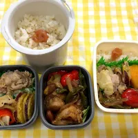 Snapdishの料理写真:お弁当|りっつさん