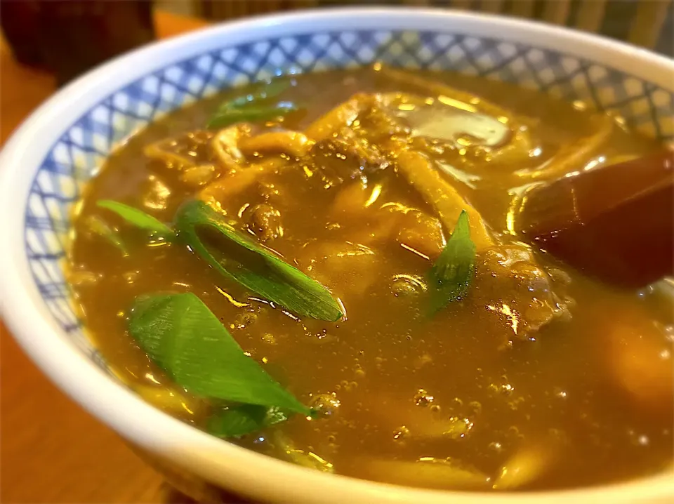 カレーうどん🍛|buhizouさん