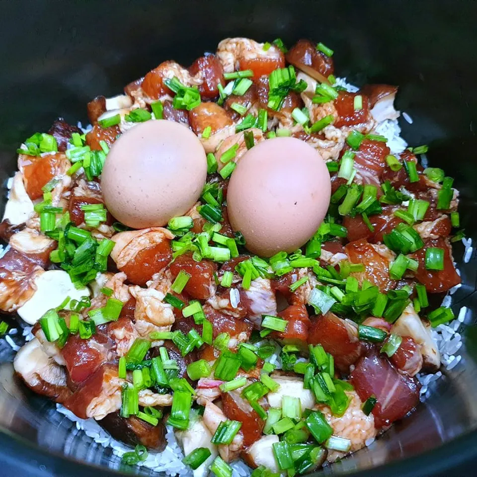 envymaqueen's dish Braised Pork Rice Cooker @ 卤肉饭|envymaqueenさん