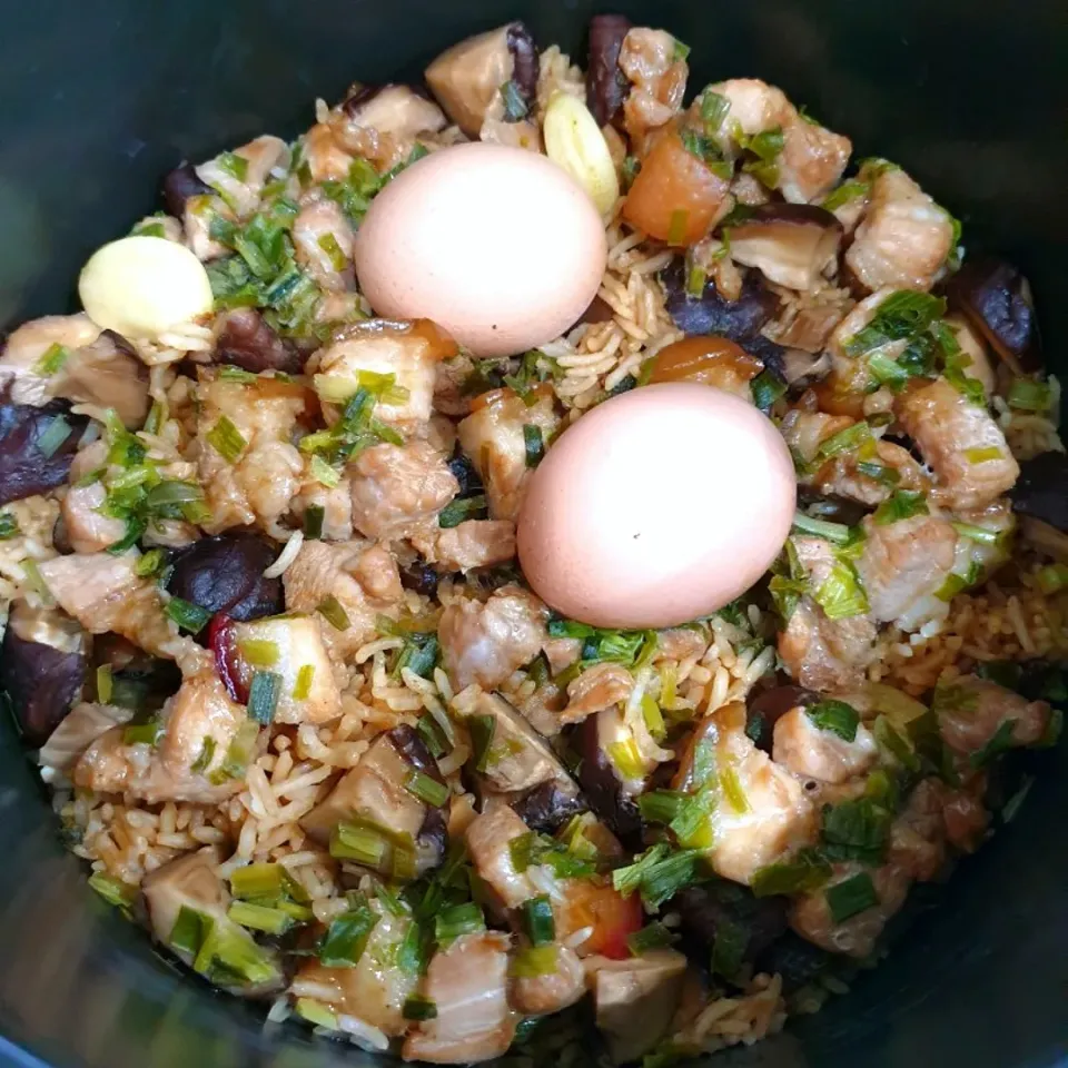 envymaqueen's dish Braised Pork Rice Cooker @ 卤肉饭|envymaqueenさん