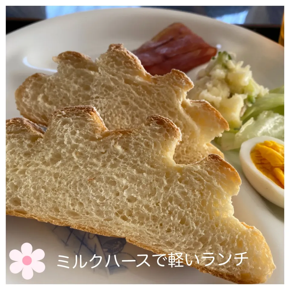 ミルクハースで軽いランチ|いのっちさん