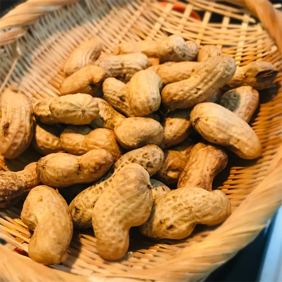 生落花生の塩茹で|平大さん