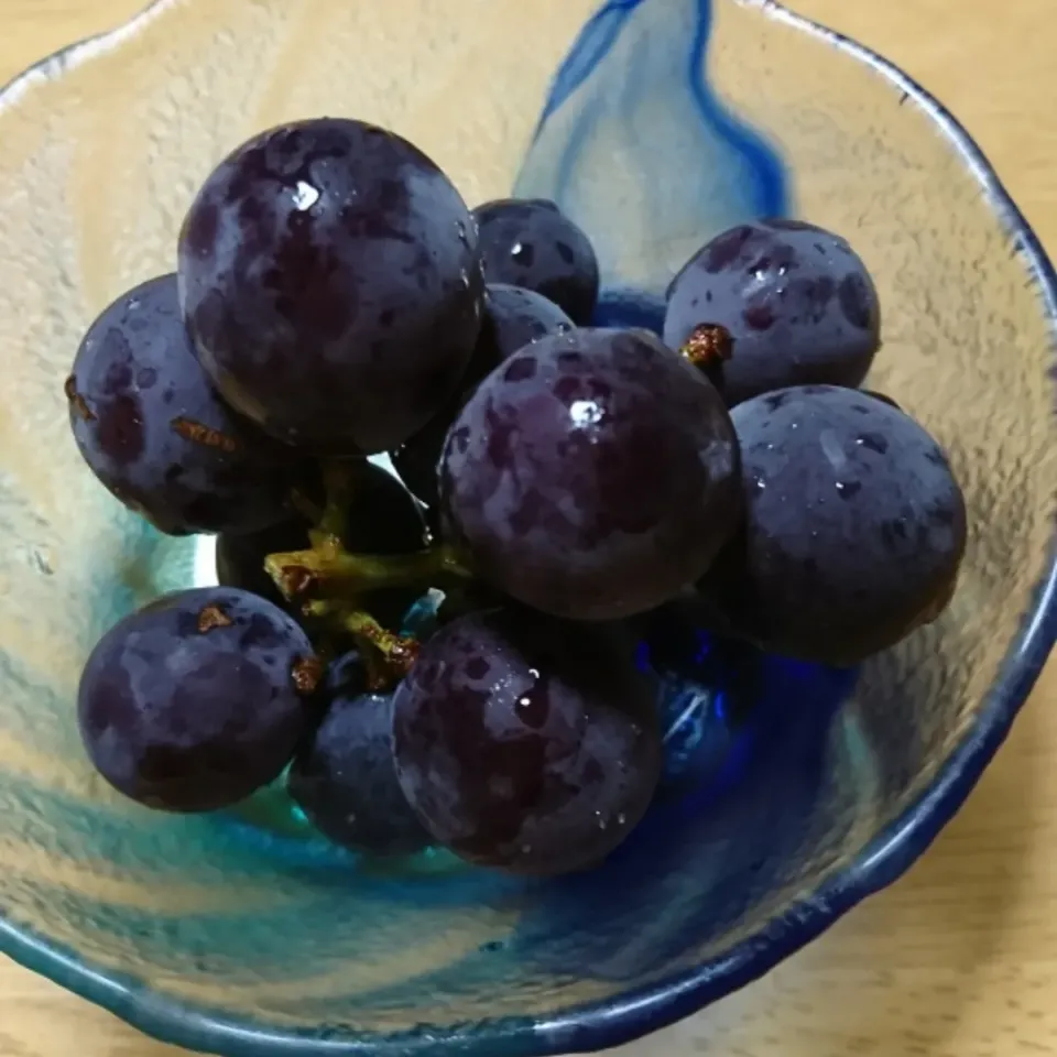 種無し巨峰🍇|しまだ ちえこさん