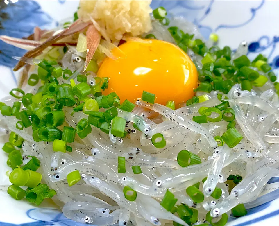 Snapdishの料理写真:生シラス丼|チルさん