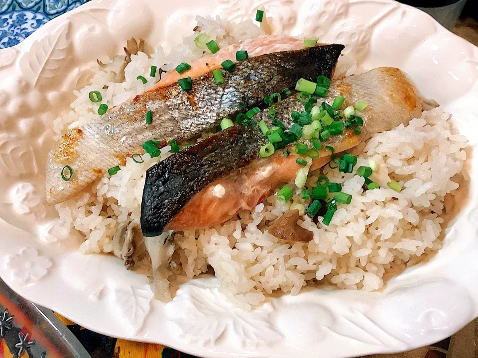 シャケご飯🐟🍚😻|アライさんさん