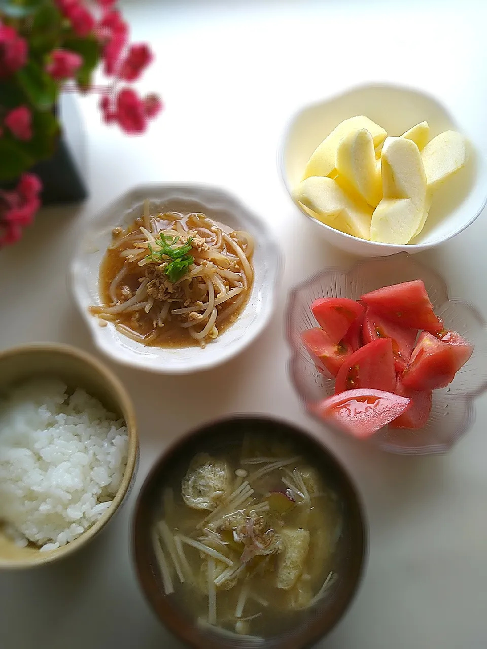 朝ごはん|まめころさん