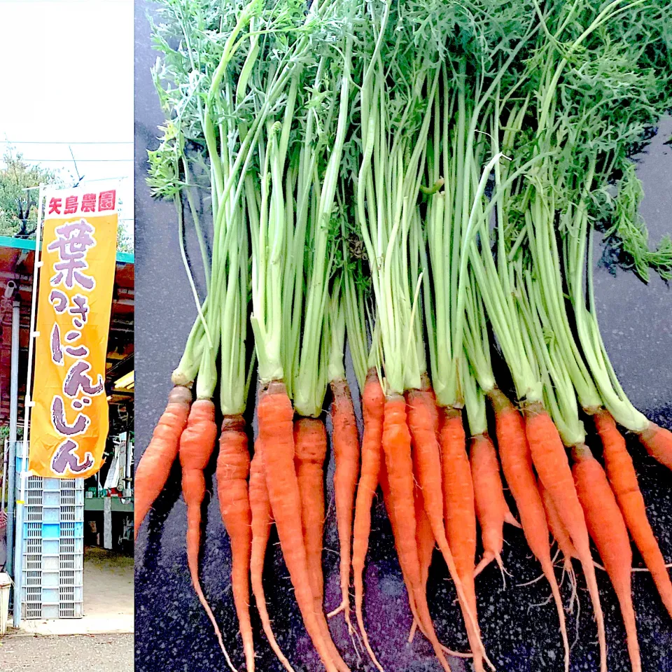 農家さんのオロ抜き葉付き人参🥕１００円|シュトママさん