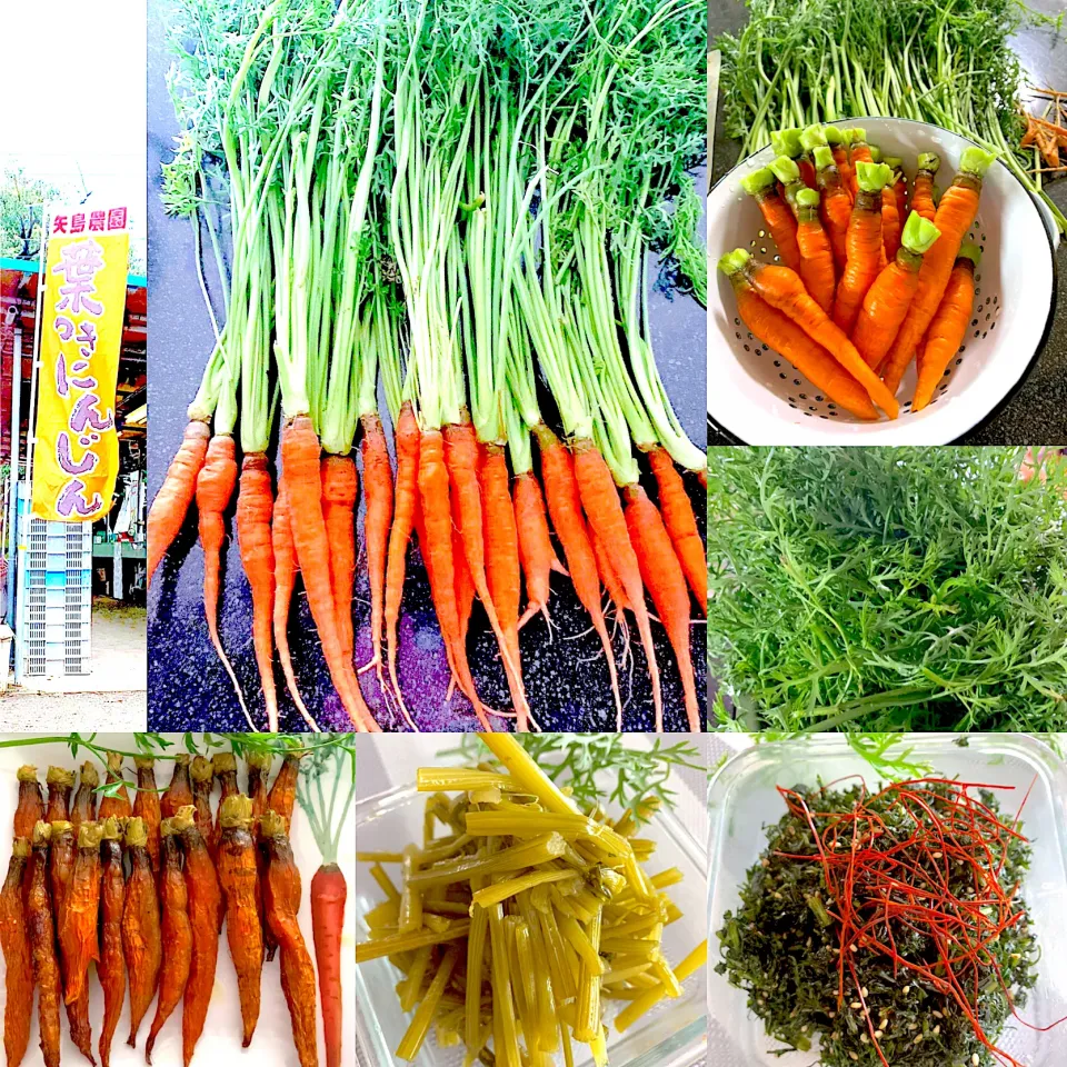 農家さんのオロ抜き葉付き人参🥕１００円で人参料理|シュトママさん