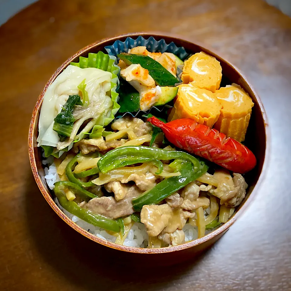 今日のお弁当！青椒肉絲|はる吉さん