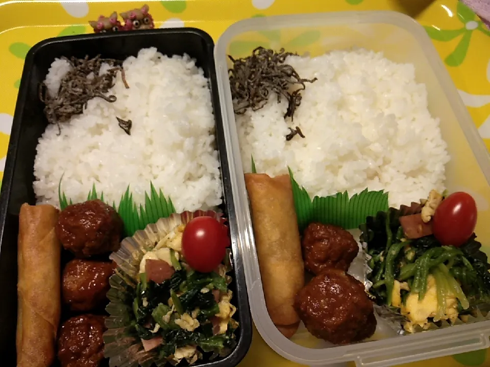 夫弁当、息子弁当|みどりさん