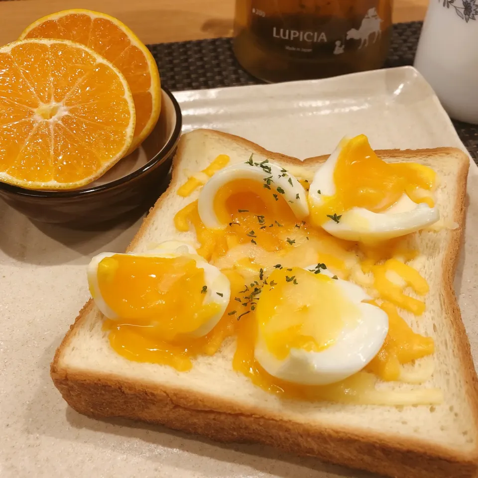 朝ゴパン|みかんさん