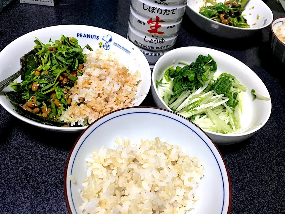 Snapdishの料理写真:納豆とご飯は混ぜない派です #朝食  玄米白米、納豆ライス(おかか豆苗ゴマ海苔納豆)、水菜浅漬け|ms903さん