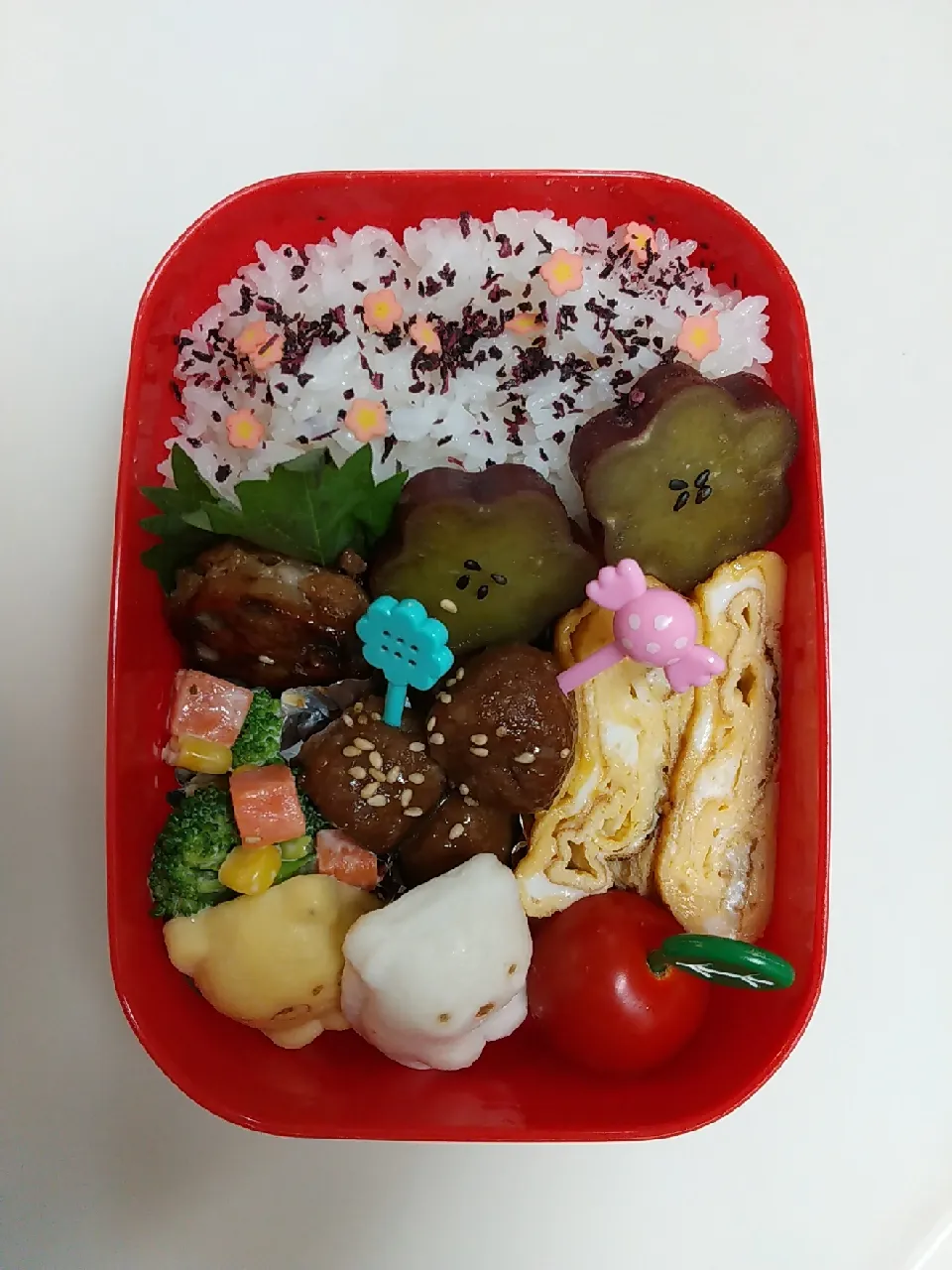 小5 遠足のお弁当♡|sumireさん