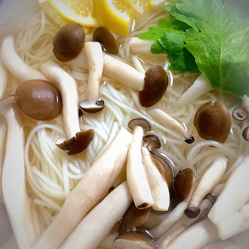 野菜たっぷりさっぱり麺|kuniさん