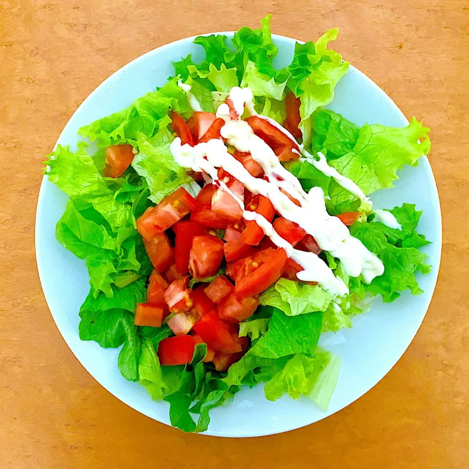 Snapdishの料理写真:Fresh salads... oishi|MI 「いどりす」さん