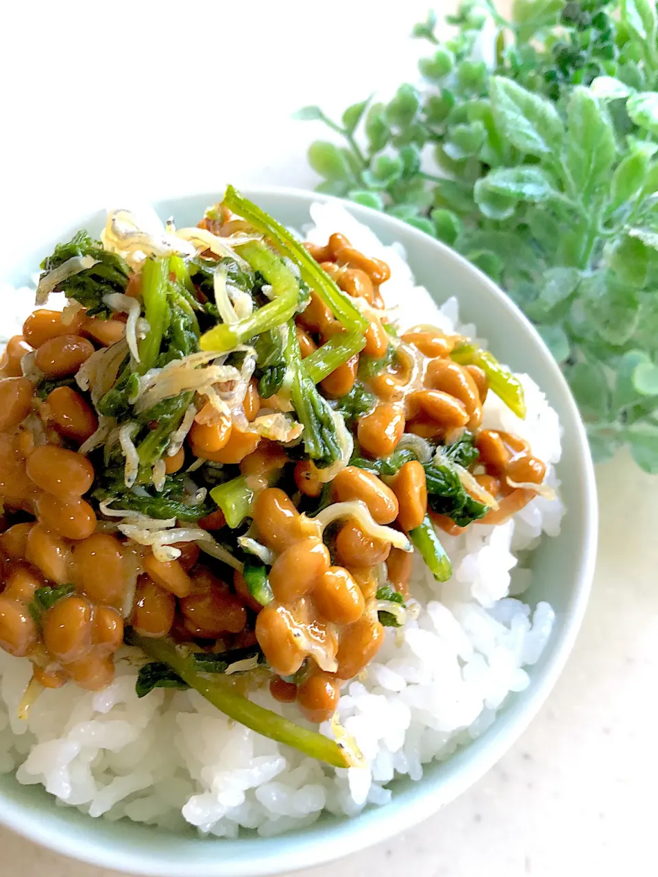 朝ごはん🥣大根葉のやつに納豆を混ぜてご飯🍚盛り盛り😆|みゆきさん