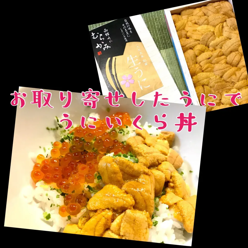 うにいくら丼|venerdiさん