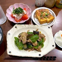 豚なすピーマンの味噌炒め|さくさくさん