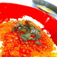 いくらの醤油漬け丼
