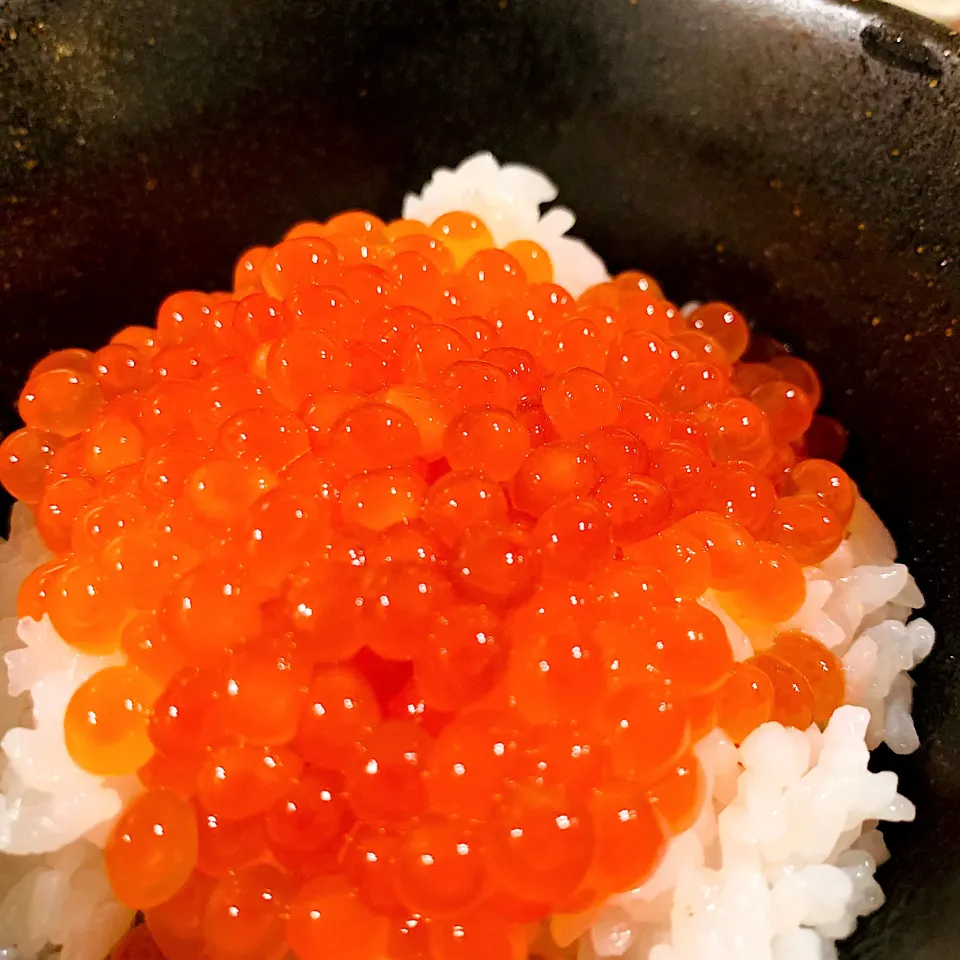 いい筋子見つけたから‥今シーズン初のいくらの醤油漬け作り→いくら丼🔴|いちごさん